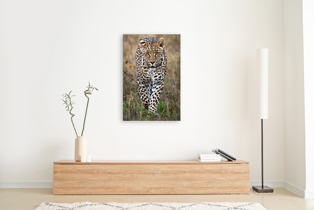 NBC081323434 Enhanced NR Edit Edit Reproduction