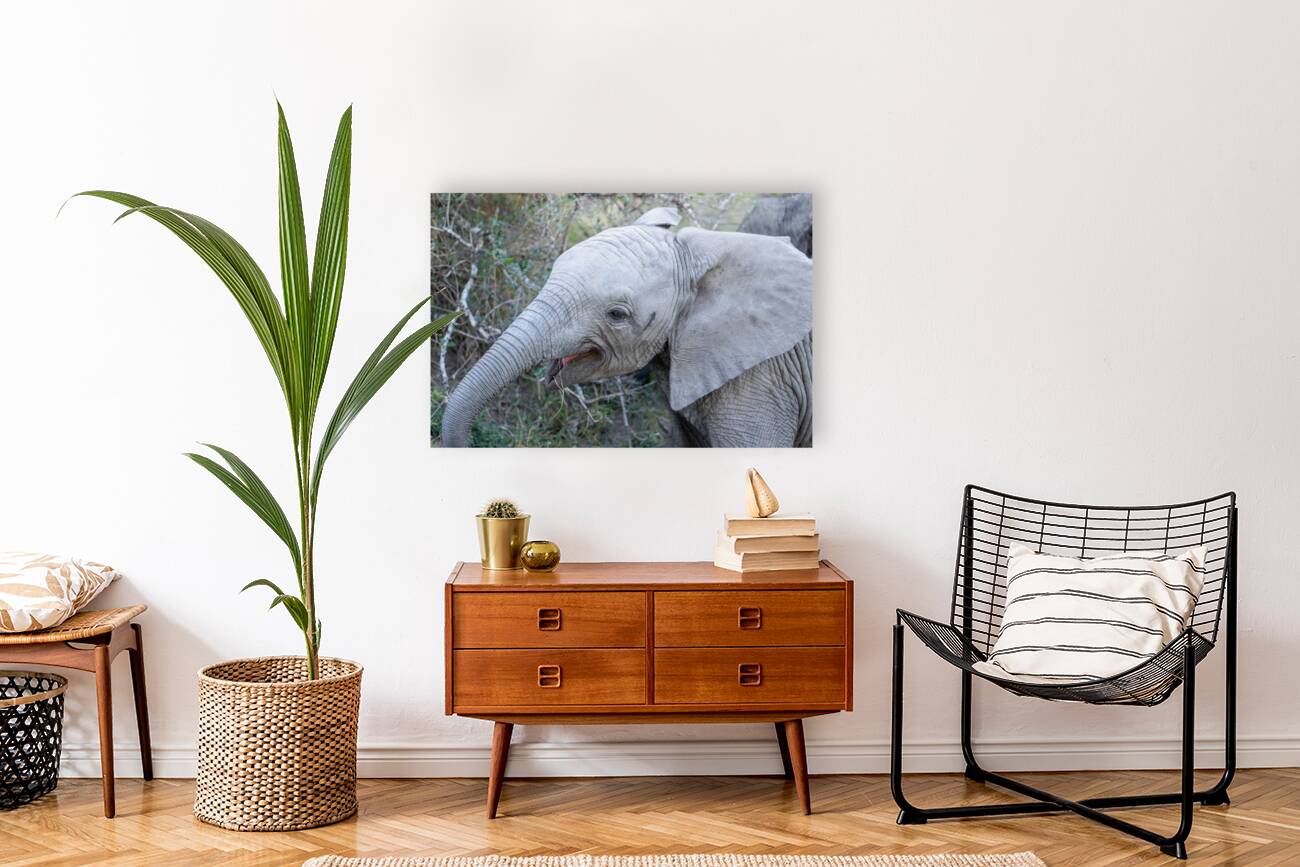 NBC081123043 Enhanced NR Reproduction