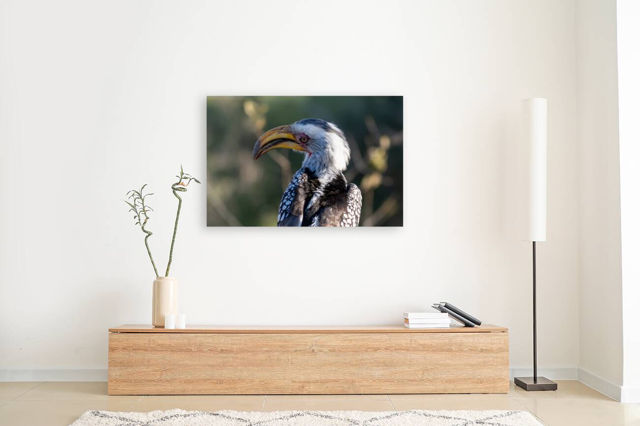 NBC081123004 Enhanced NR Reproduction