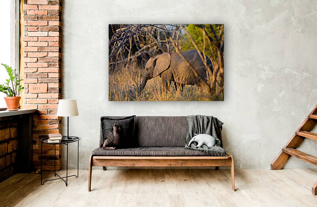 Z92 1579 Reproduction