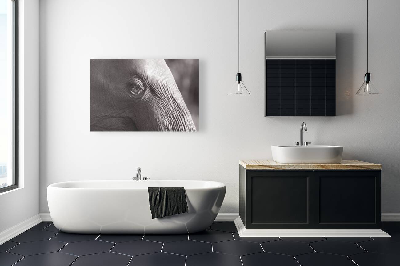 Z91 3172 Reproduction