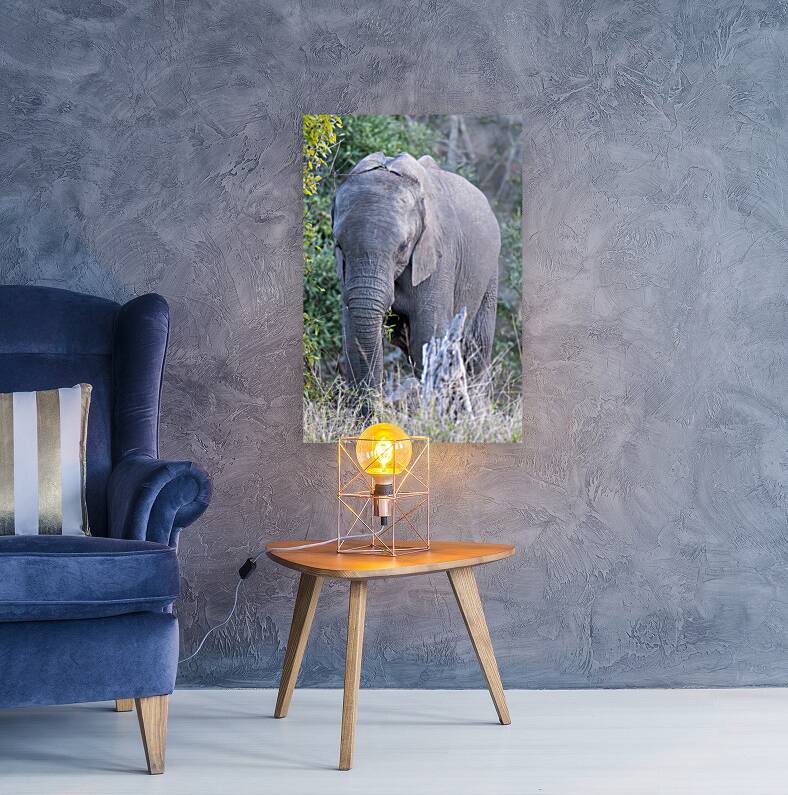 NBC081123066 Enhanced NR Reproduction