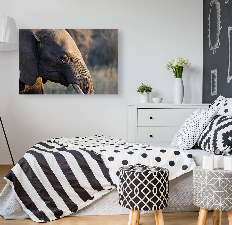 NBC081123054 Reproduction