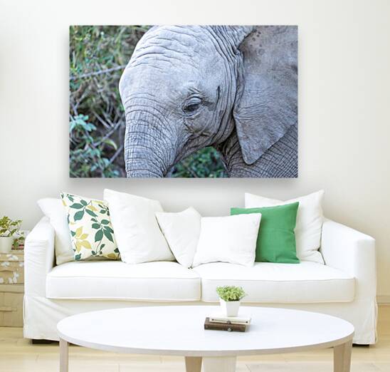 NBC081123040 Enhanced NR Reproduction