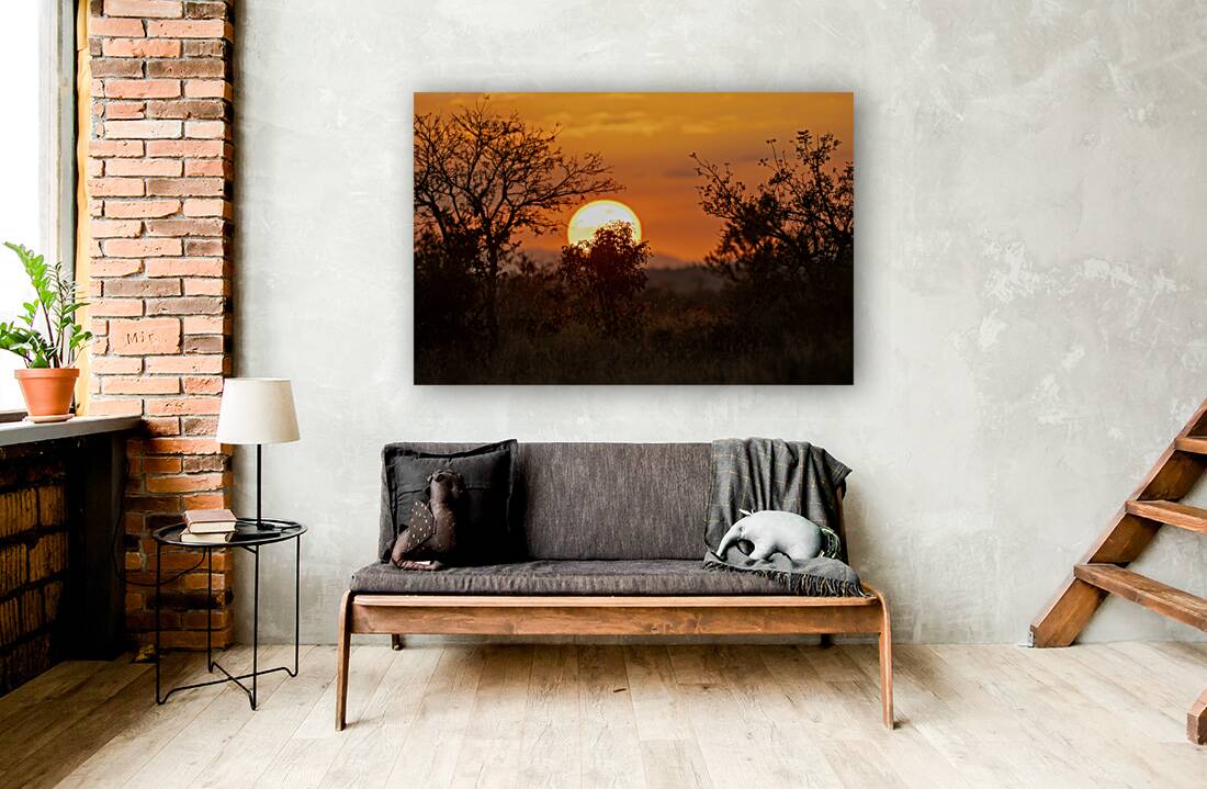 NBC081123086 Reproduction