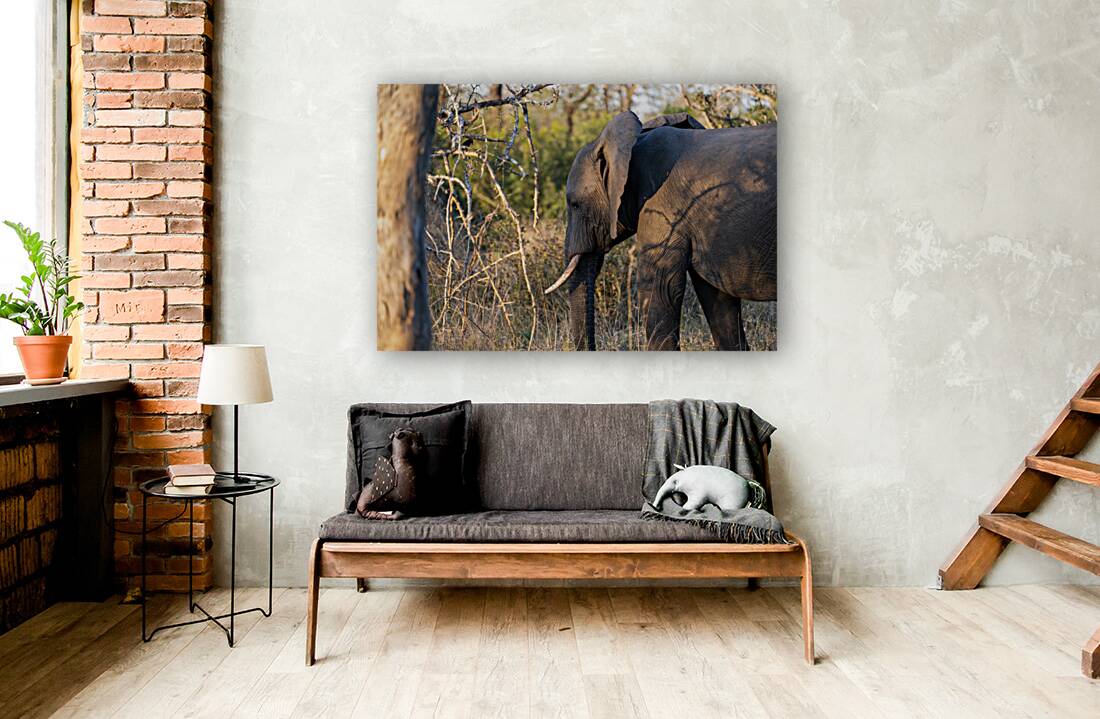 NBC081123060 Reproduction