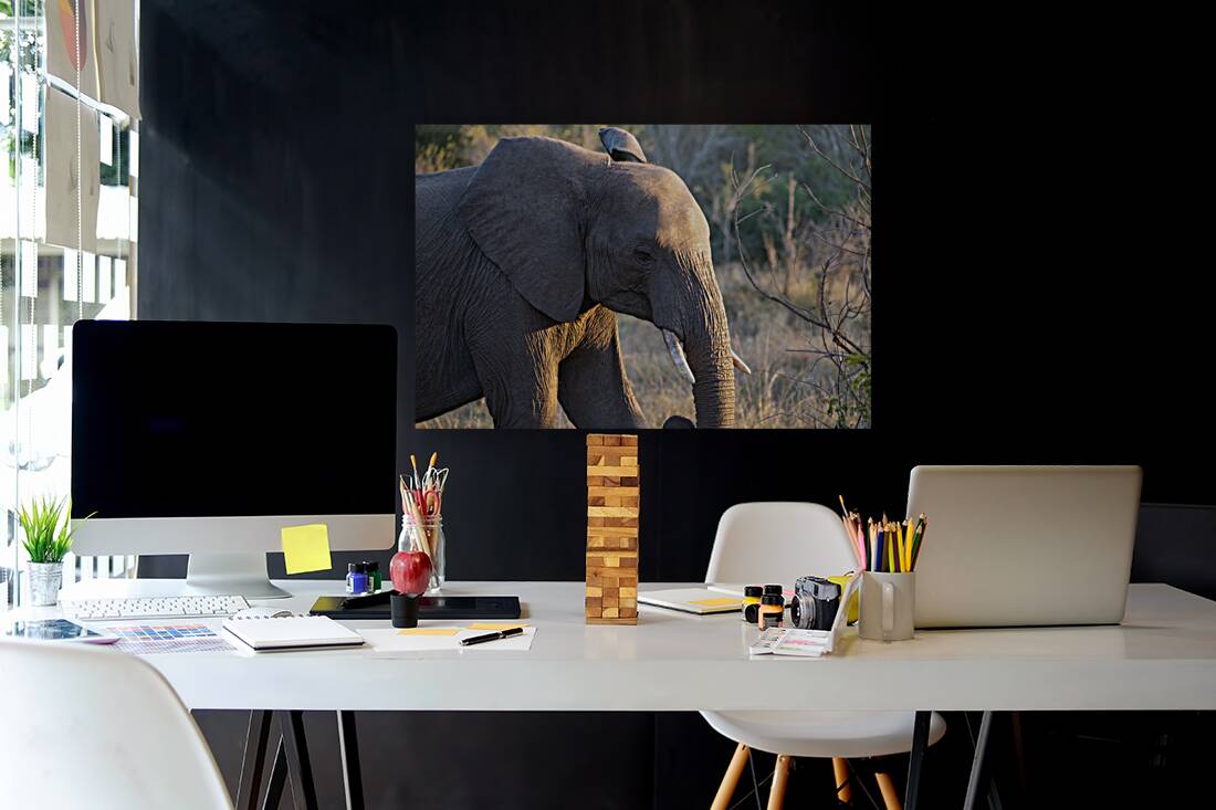 NBC081123057 Reproduction