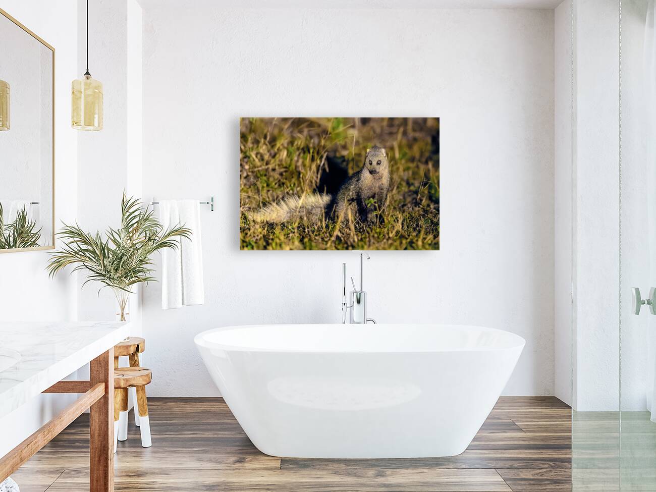 Z92 1608 NEF DxO DeepPRIMEXD Reproduction