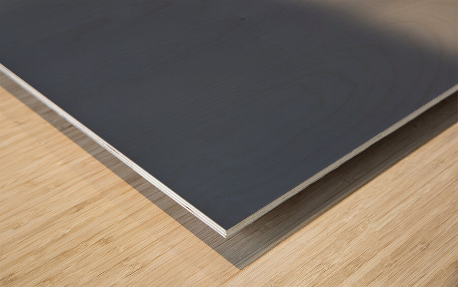 Calgary20220510 0135 Enhanced NR Edit Wood print