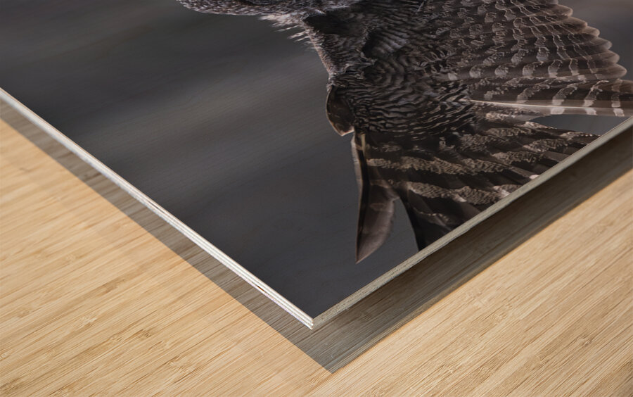 Calgary20220510 0150 Enhanced NR Edit Wood print