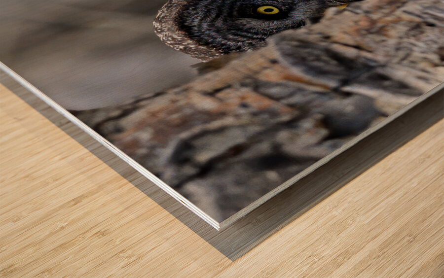 Calgary20220511 0437 Edit Wood print