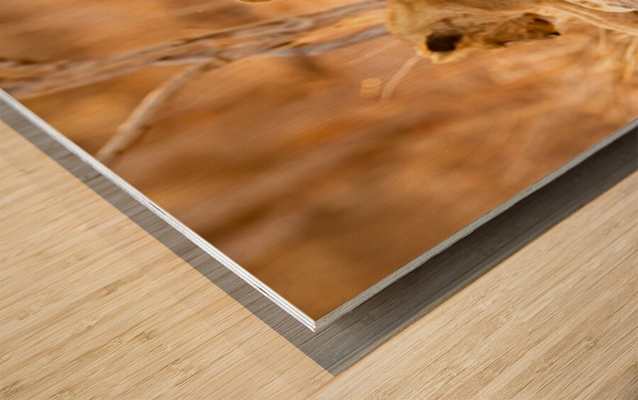 DSC081823685 Edit Wood print