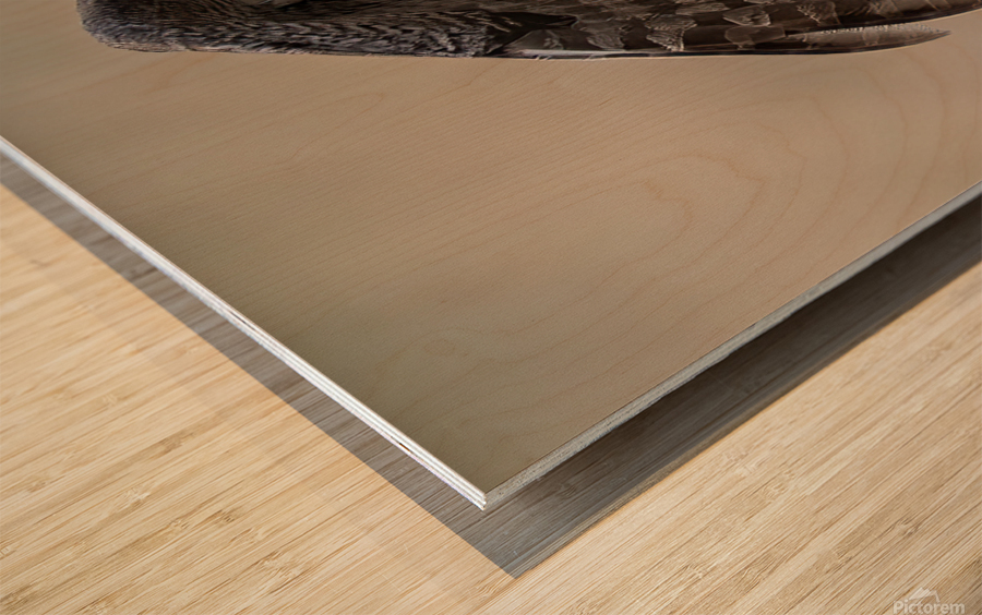 Calgary20220512 0616 Edit Wood print