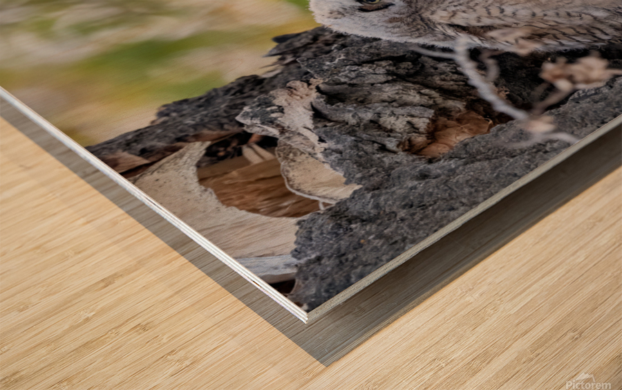 Three GHO 36x48 Wood print