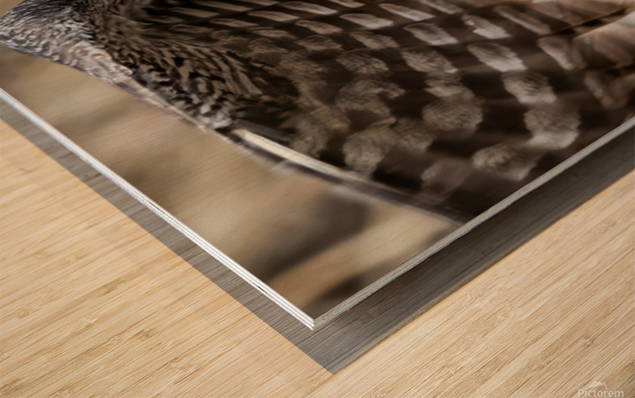 Great Gray 30x60 Wood print