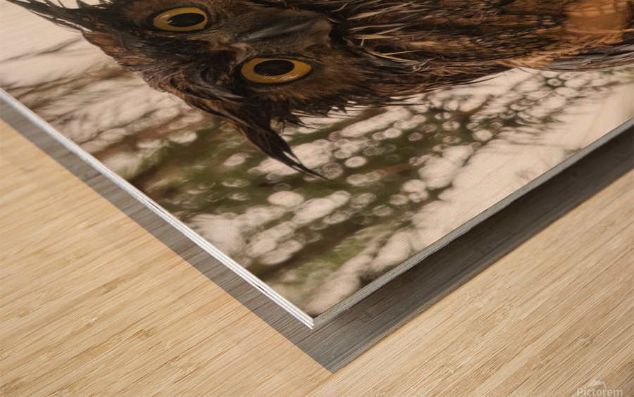 GHO 3648 Canv Wood print