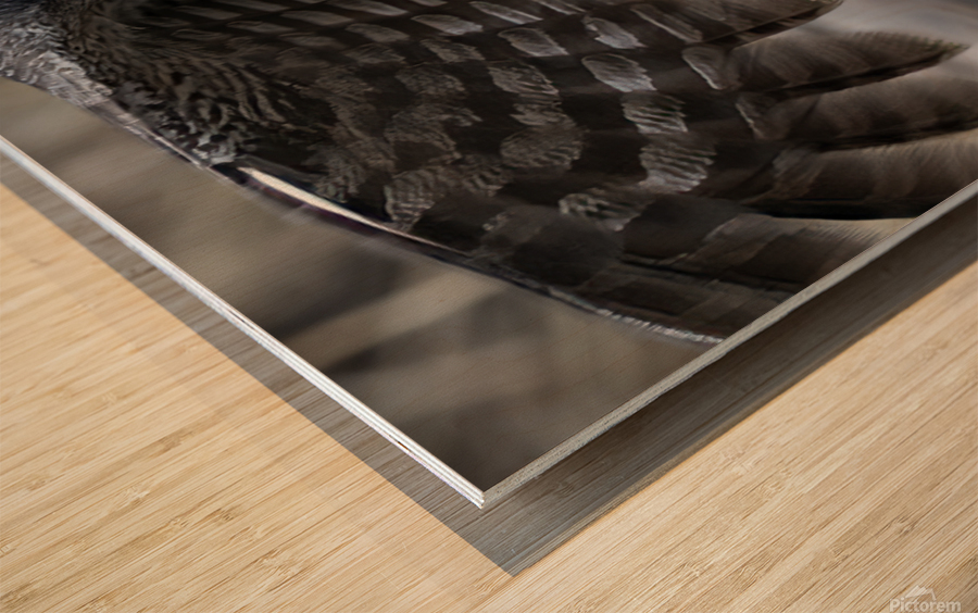 GGO 3060 Acry Wood print