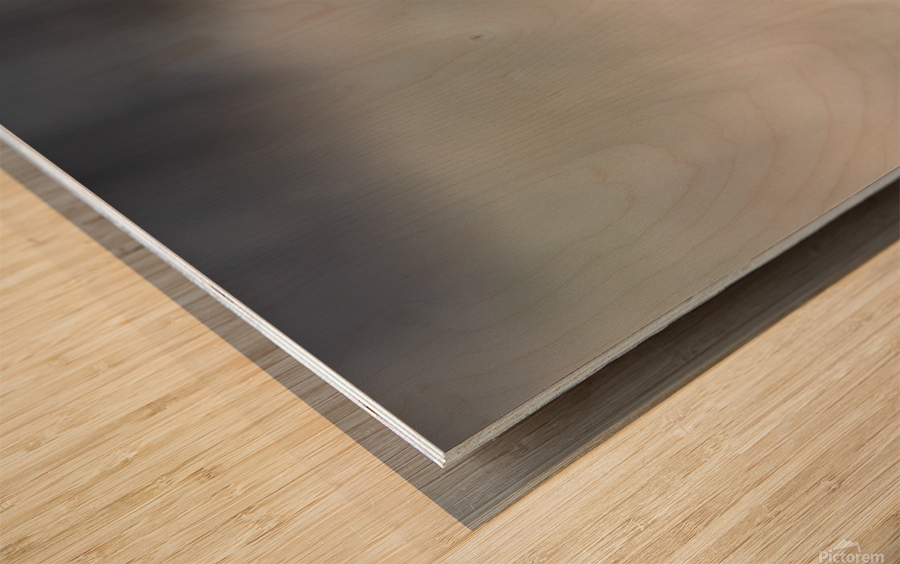 CalgaryGGO3060Canv Wood print