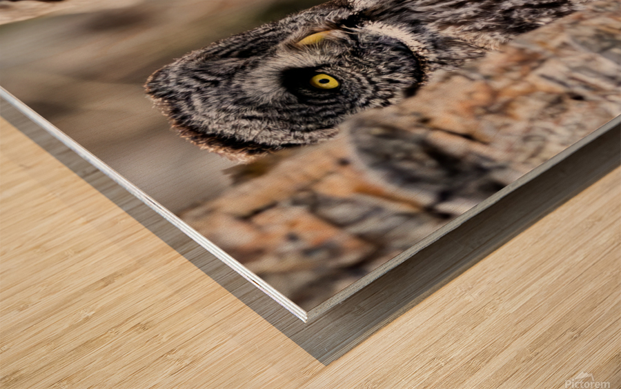 GGO3648Canv Wood print