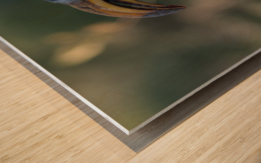 NBC081123004 Enhanced NR Wood print