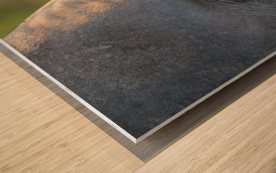 NBC081123075 Wood print