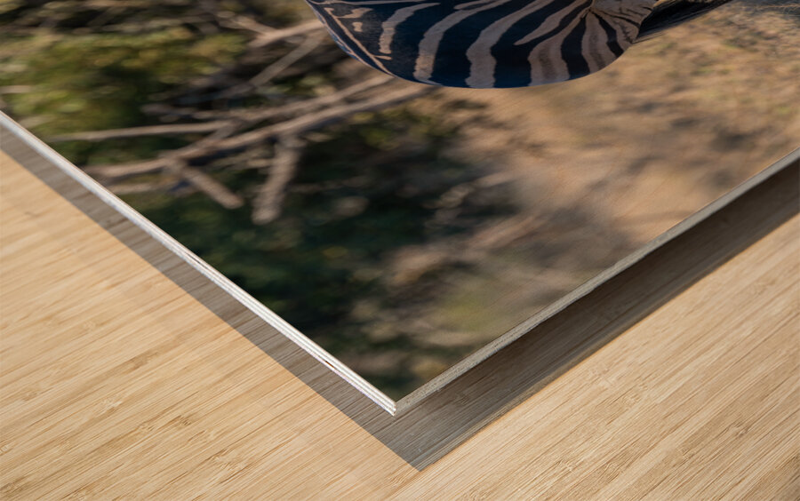 NBC081123010 Enhanced NR Wood print