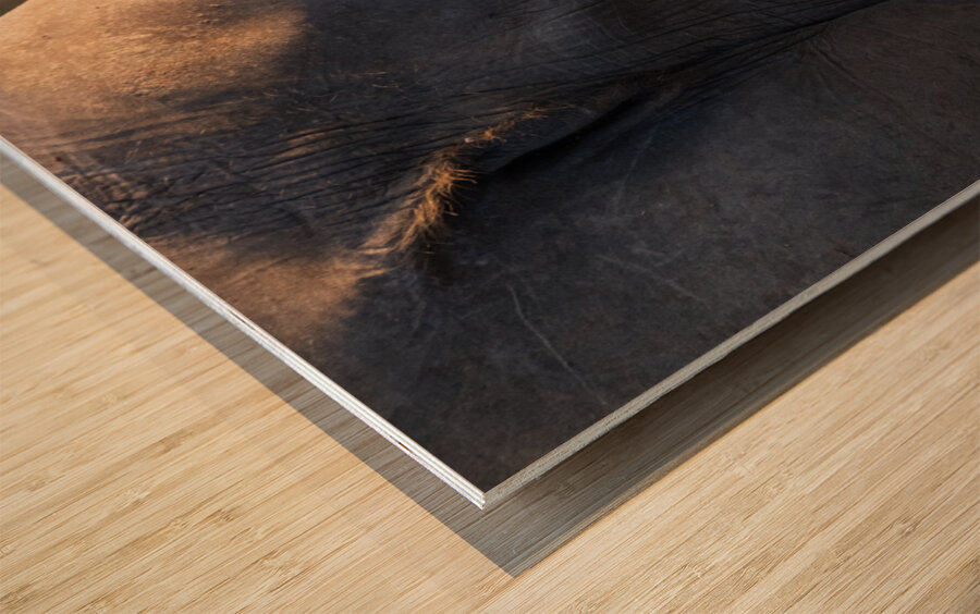 NBC081123054 Wood print