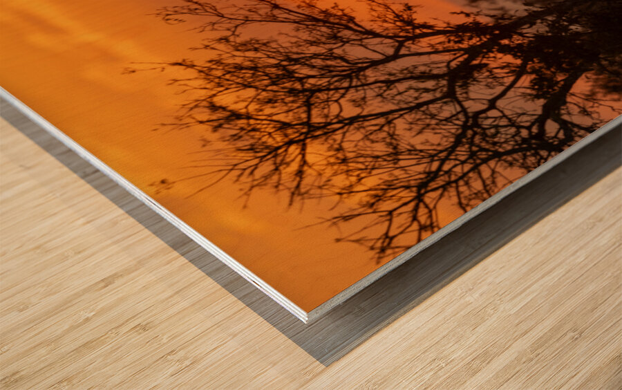 NBC081123086 Wood print