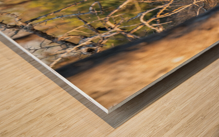 NBC081123060 Wood print