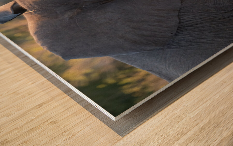 NBC081123057 Wood print