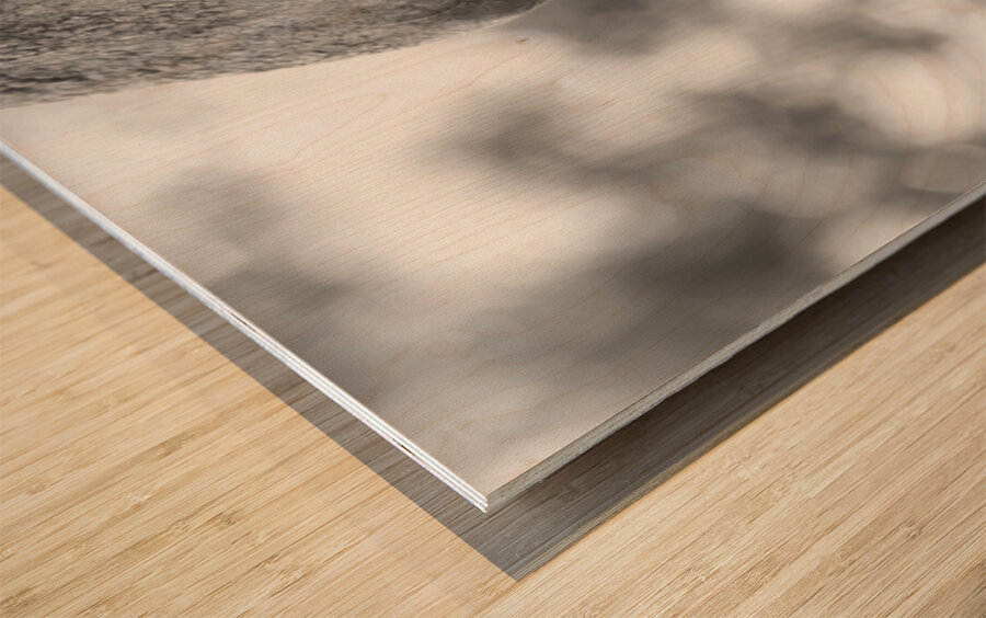 NBC081123037 Enhanced NR Wood print