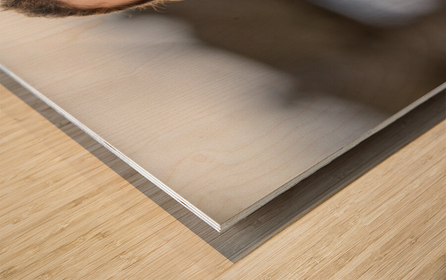 Z92 4485 Edit Wood print