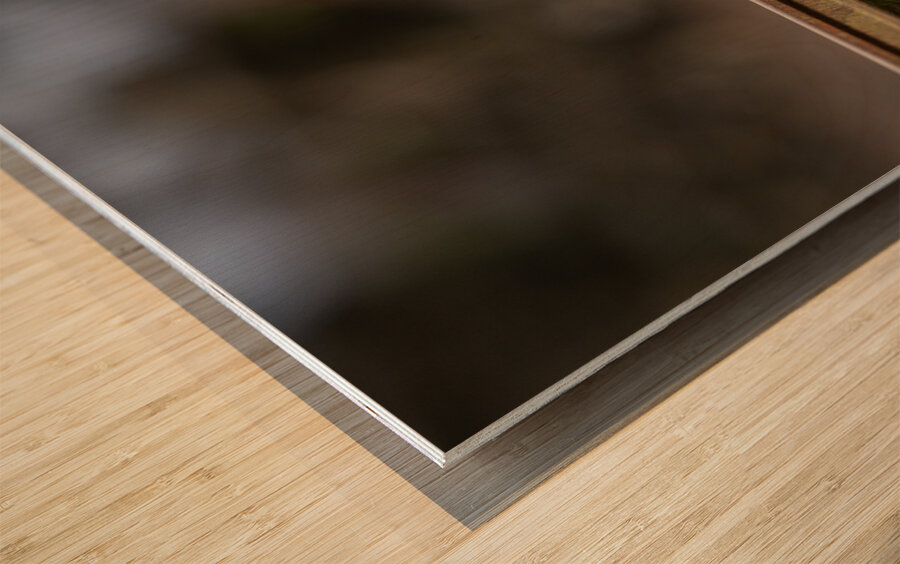 Z92 4516 Edit Wood print